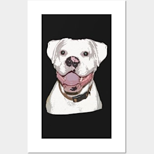 White Boxer Dog Posters and Art